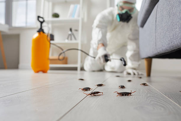 Commercial Kitchen Cockroach Control in Lewisburg